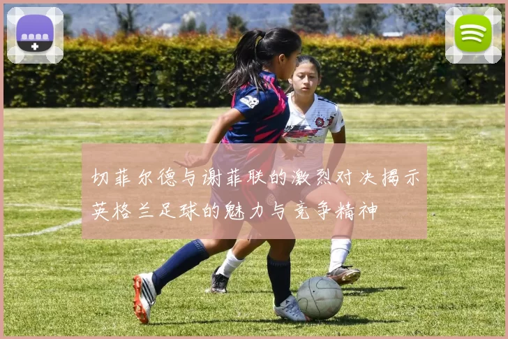 切菲尔德与谢菲联的激烈对决揭示英格兰足球的魅力与竞争精神