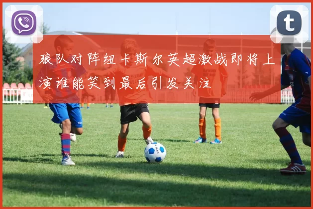 狼队对阵纽卡斯尔英超激战即将上演谁能笑到最后引发关注