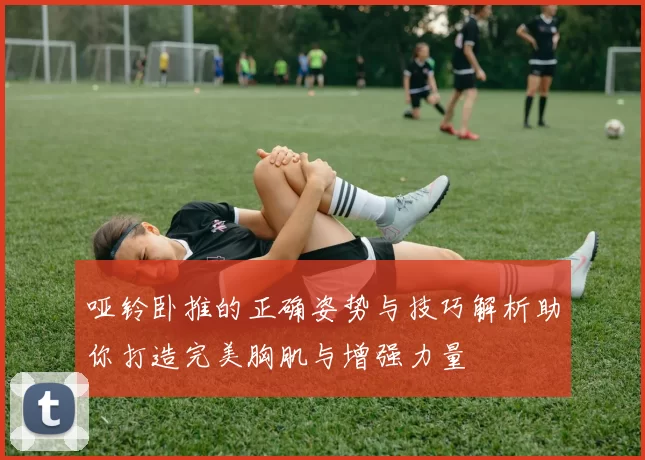 哑铃卧推的正确姿势与技巧解析助你打造完美胸肌与增强力量