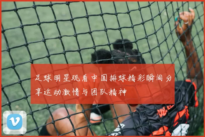 足球明星观看中国排球精彩瞬间分享运动激情与团队精神