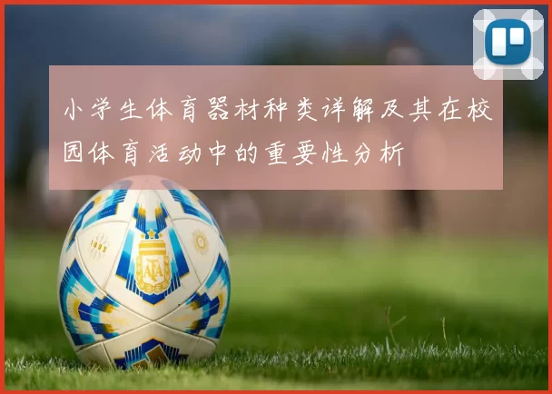 小学生体育器材种类详解及其在校园体育活动中的重要性分析