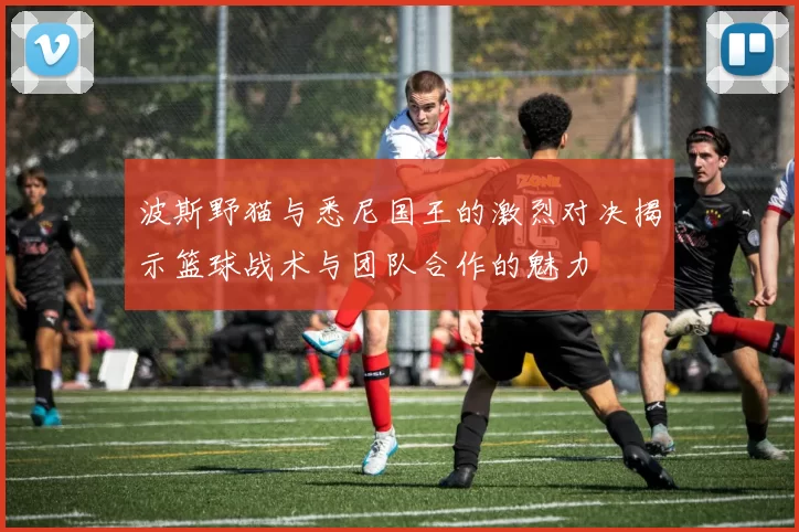 波斯野猫与悉尼国王的激烈对决揭示篮球战术与团队合作的魅力