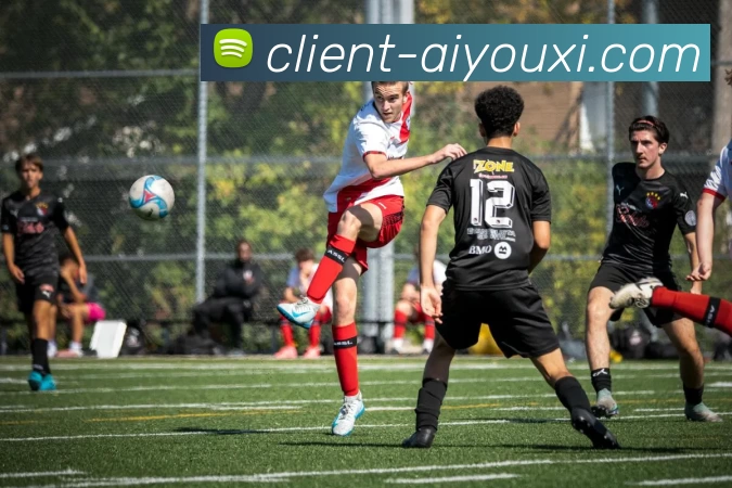 爱游戏平台生态图